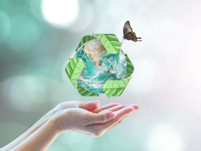 Benefits of being eco friendly for Schools