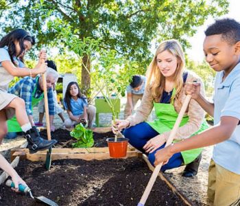 School Kids Gardening